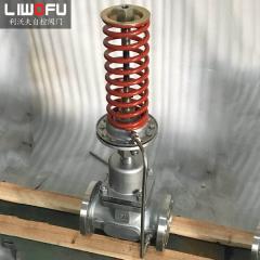 自力式壓力調節閥：科技引領，壓力控制新篇章